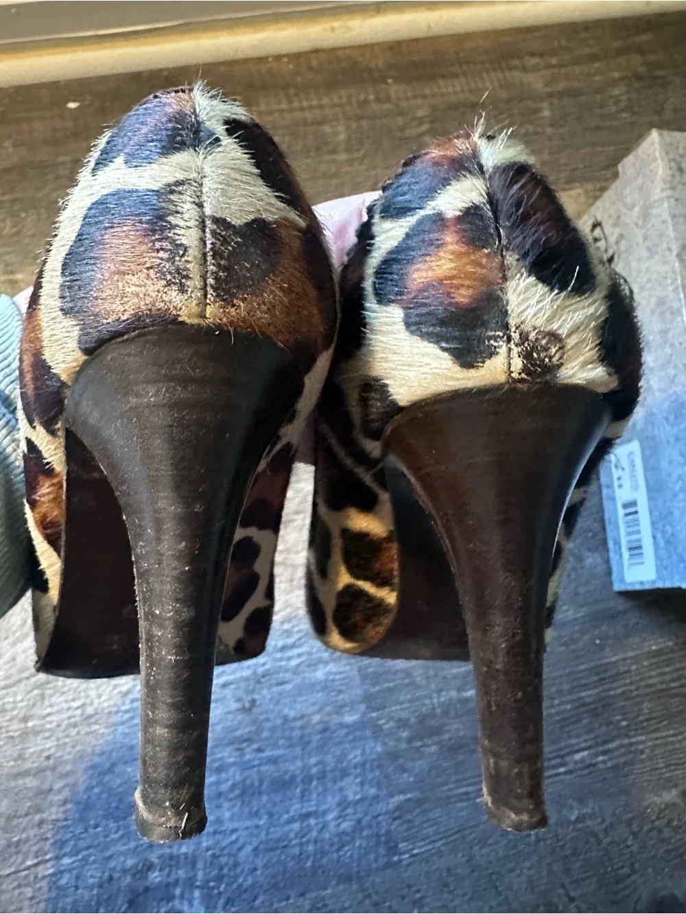 Franco Barbieri stylish leopard